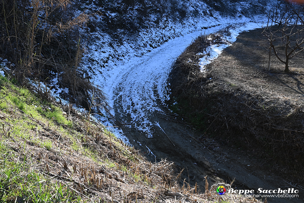 VBS_0886 - Corneliano d'Alba.jpg